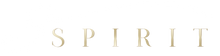 3spirit fashion brand logo