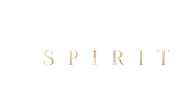 3spirit fashion brand logo